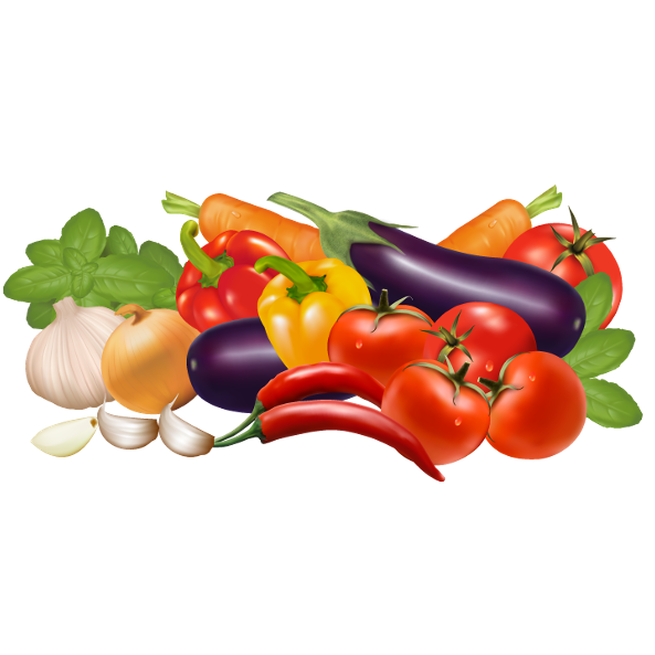 FIBRE 101 What is Fibre? Why Do you Need Fibre in your Diet? Benefits of a Fibre Rich Diet. Richest source of Fibre. Best Type of Fibre. Psyllium Husk Fibre. Types of Fibre. Sources of Fibre VEGETABLES