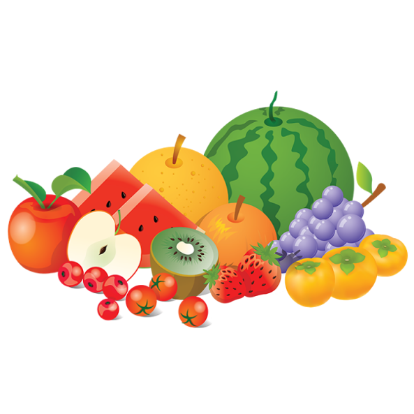 FIBRE 101 What is Fibre? Why Do you Need Fibre in your Diet? Benefits of a Fibre Rich Diet. Richest source of Fibre. Best Type of Fibre. Psyllium Husk Fibre. Types of Fibre. Sources of Fibre FRUITS