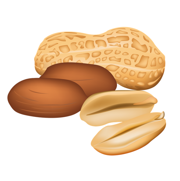 FIBRE 101 What is Fibre? Why Do you Need Fibre in your Diet? Benefits of a Fibre Rich Diet. Richest source of Fibre. Best Type of Fibre. Psyllium Husk Fibre. Types of Fibre. Sources of Fibre NUTS