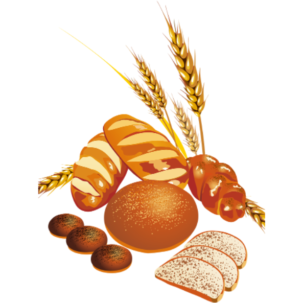 FIBRE 101 What is Fibre? Why Do you Need Fibre in your Diet? Benefits of a Fibre Rich Diet. Richest source of Fibre. Best Type of Fibre. Psyllium Husk Fibre. Types of Fibre. Sources of Fibre WHOLE FOODS